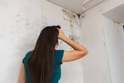 Prevent Mold From Growing In Your Home!